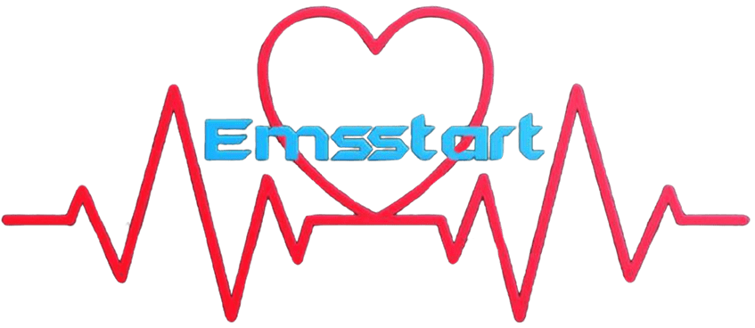 EMS Start Logo